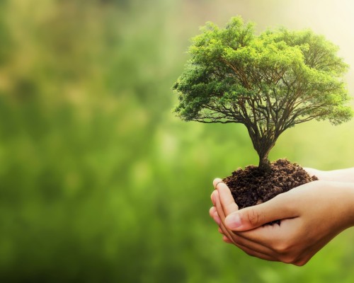 How to manage your mood with food ?