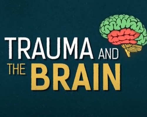 Trauma and the Brain (1)